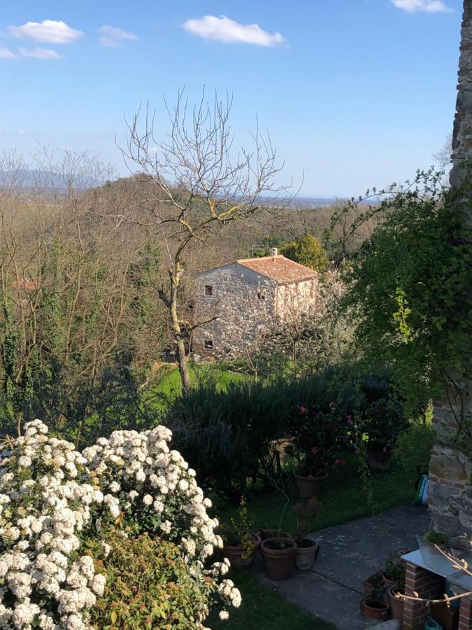Dolce Vita In Tuscany B&B Капаннорі Екстер'єр фото